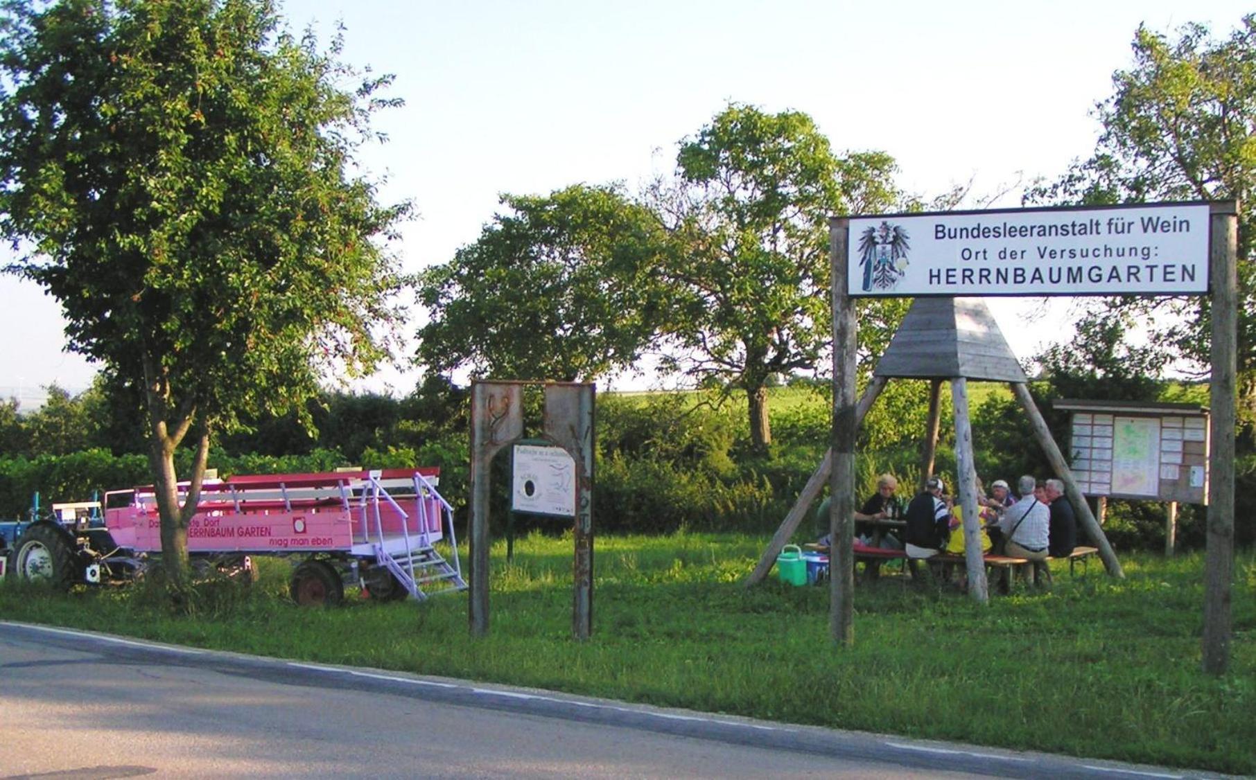 Weingut Zur Schlafmuetze Ξενοδοχείο Herrnbaumgarten Εξωτερικό φωτογραφία